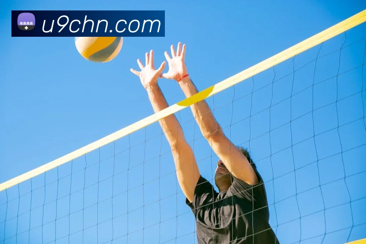 App Interface Preview